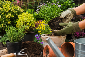 Common Gardening Mistakes and How to Avoid Them